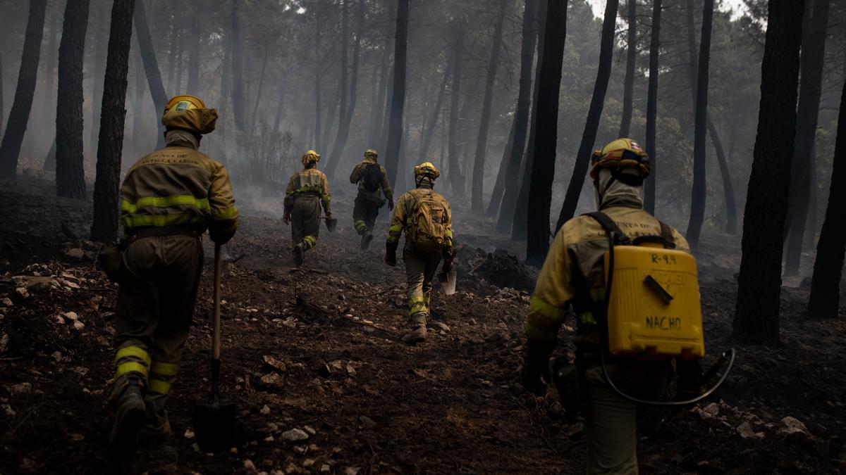 Cuadrillas de bomberos forestales trabajan sobre el terreno del incendio en Sierra de la Culebra.