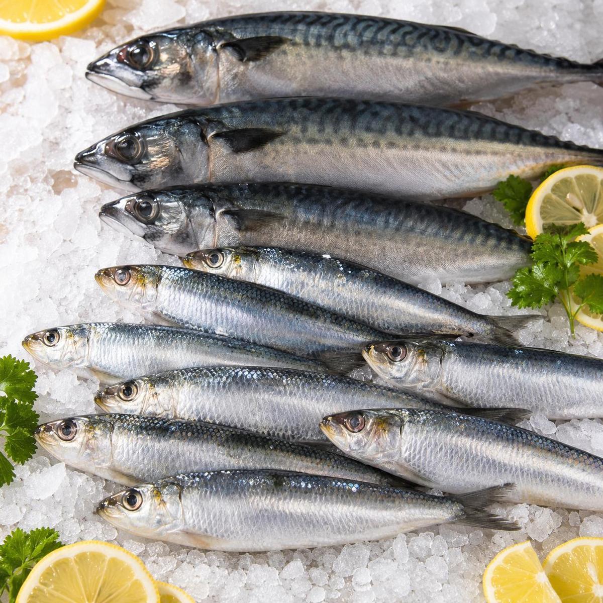 Pescado azul.