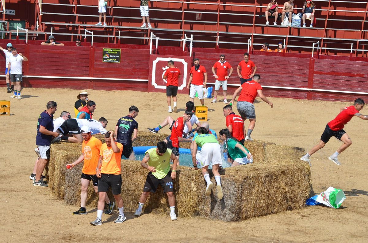 Participantes en el Gran Prix de la NTE de este año.