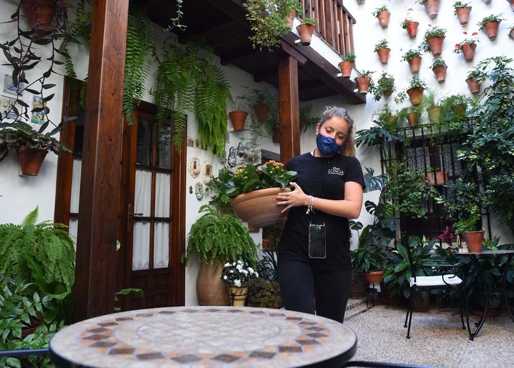 Últimos preparativos del Festival de Patios