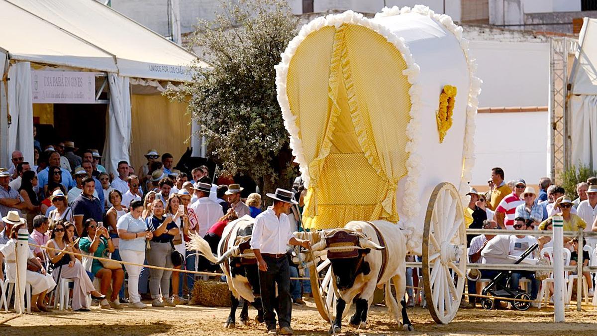 Una de las actividades en la Pará en 2023.