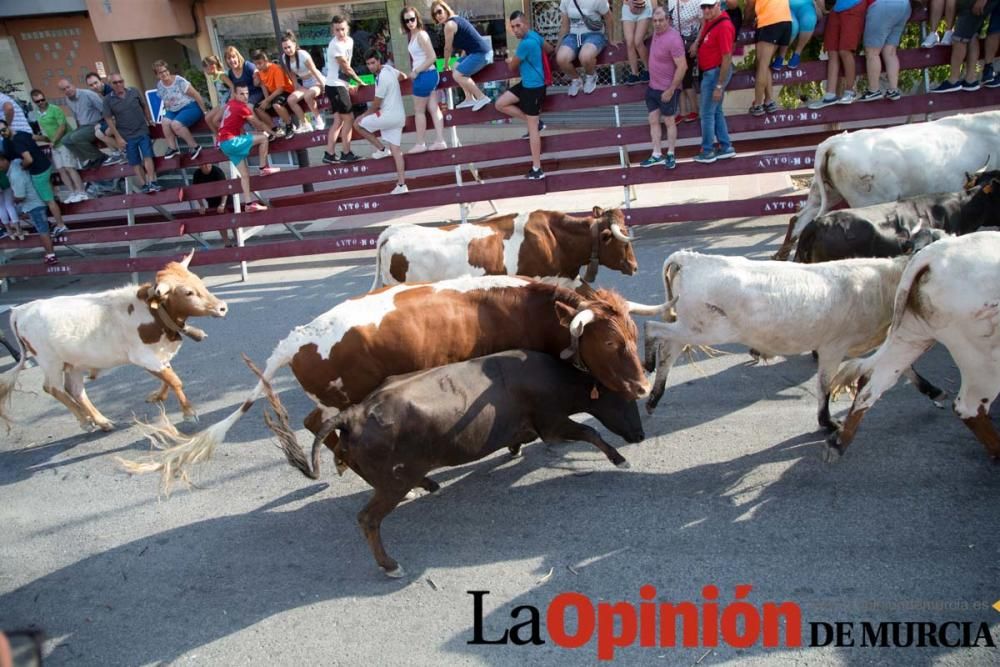 Segundo encierro Fiestas de Moratalla