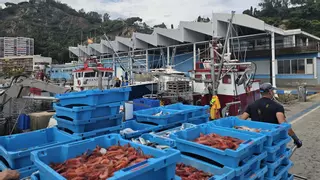 L’Estat accepta reobrir la pesca de gamba a compte de la quota del 2025