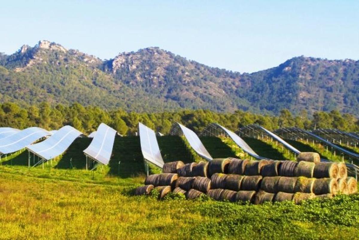 Photovoltaik-Anlage auf Mallorca.