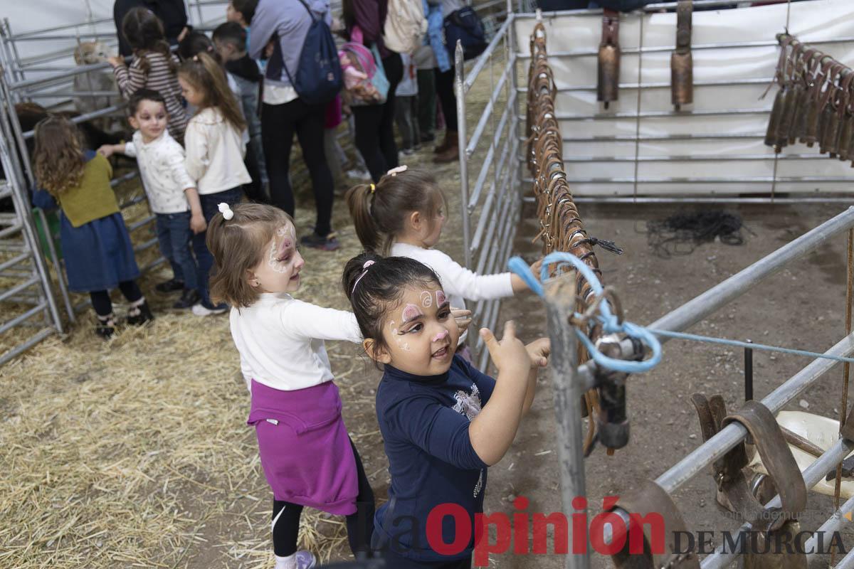 Así se ha vivido la IX Feria del Cordero Segureño celebraba en la pedanía caravaqueña de Archivel