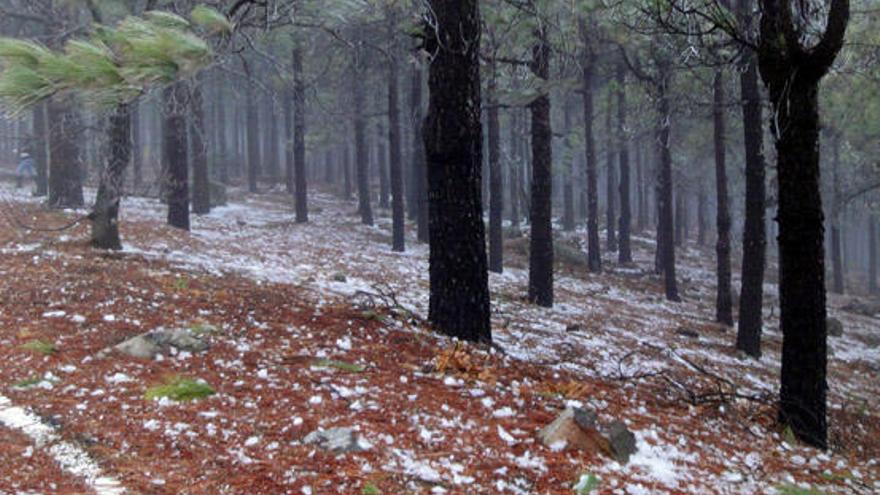 Imagen del entorno del Pico de las Nieves a las seis de tarde de ayer. i F.J. MEGÍAS SANTANA