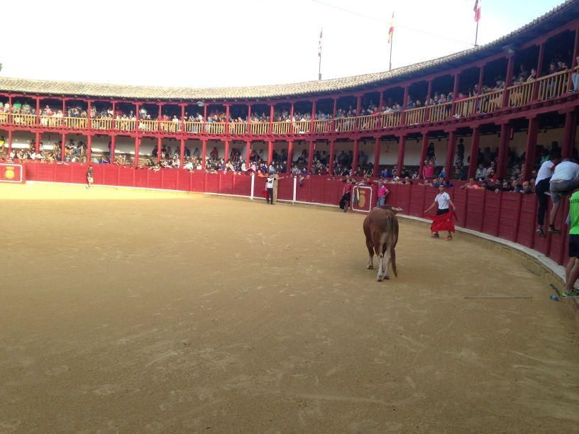 Fiestas Toro: Encierro urbano y suelta de vaquilla