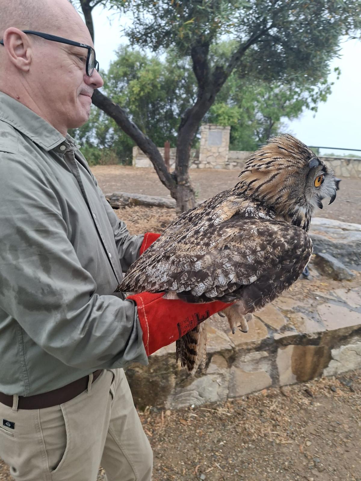 Víquez libera a una de las aves desde el corazón de Los Montes.