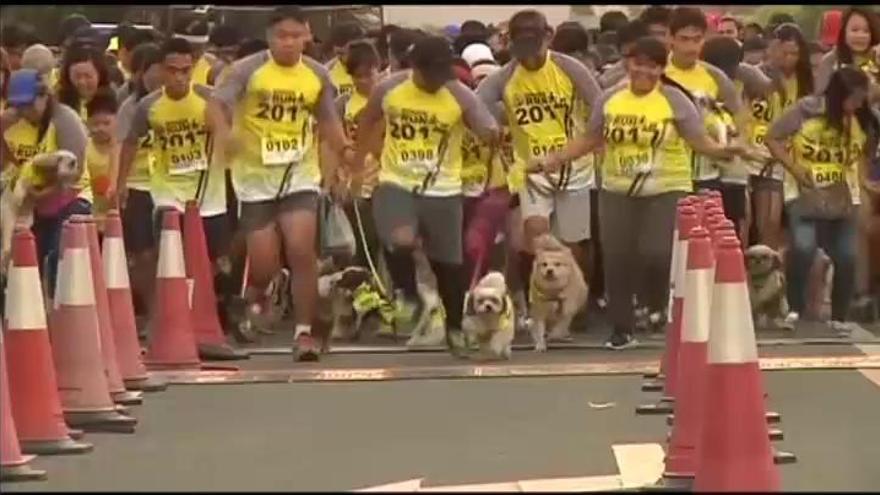 Multitudinaria carrera perruna en Manila