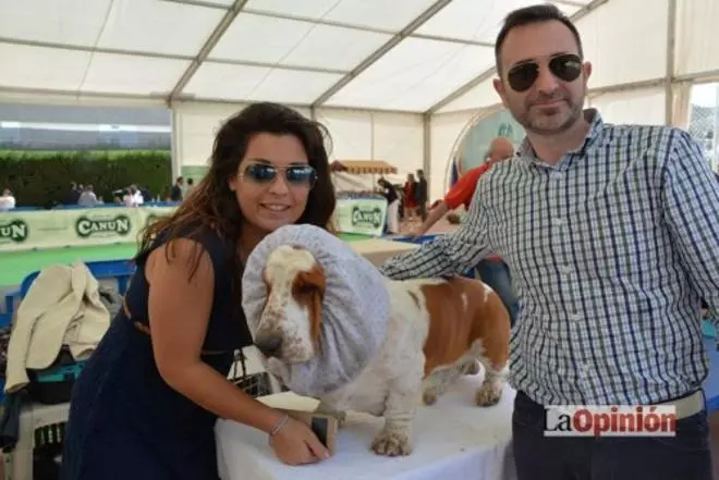 Exposición Canina Cieza 2015