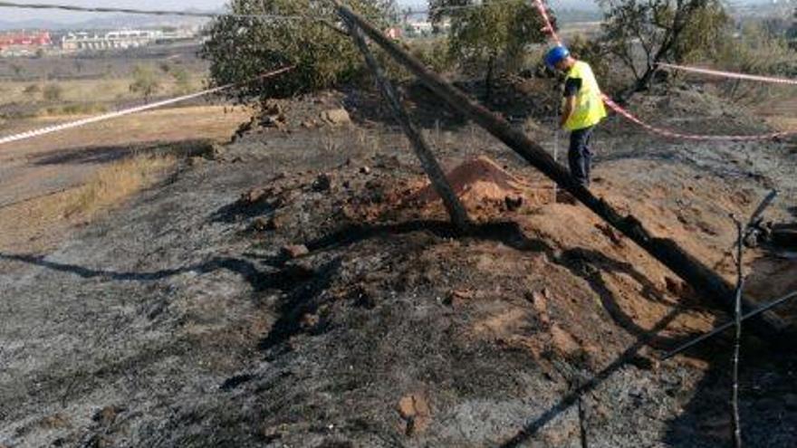 Una zona agrícola cremada, hores després del foc de Sant Fruitós