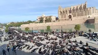 El Parc de la Mar se tiñe de negro para visibilizar la lucha contra la violencia machista