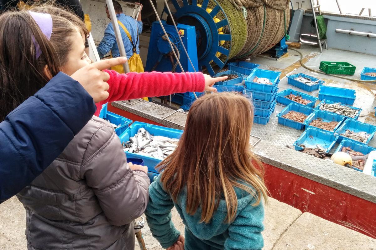 Separación del pescado en los barcos del Port de Barcelona