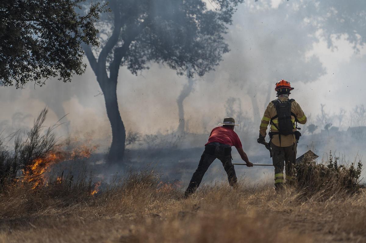 Fotogalería | 'Un verano devastador': el trabajo de Carlos Gil por el que se ha llevado el premio XLVI Premio Dionisio Acedo