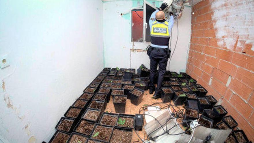 La Guàrdia Urbana ha trobat la droga en una casa del Culubret.