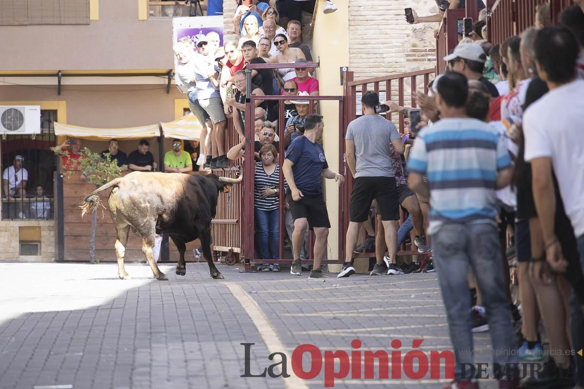 Tercer encierro de las Fiestas de Moratalla