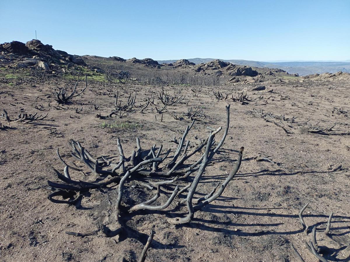 Repuesto el monolito y rescatadas piezas del avión siniestrado en Moncalvo