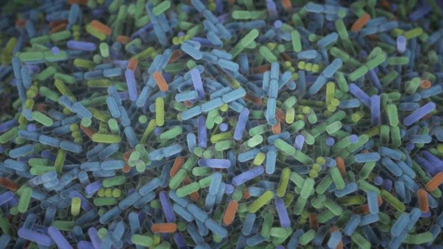 Una bacteria podría resolver los crímenes ligados a agresiones sexuales