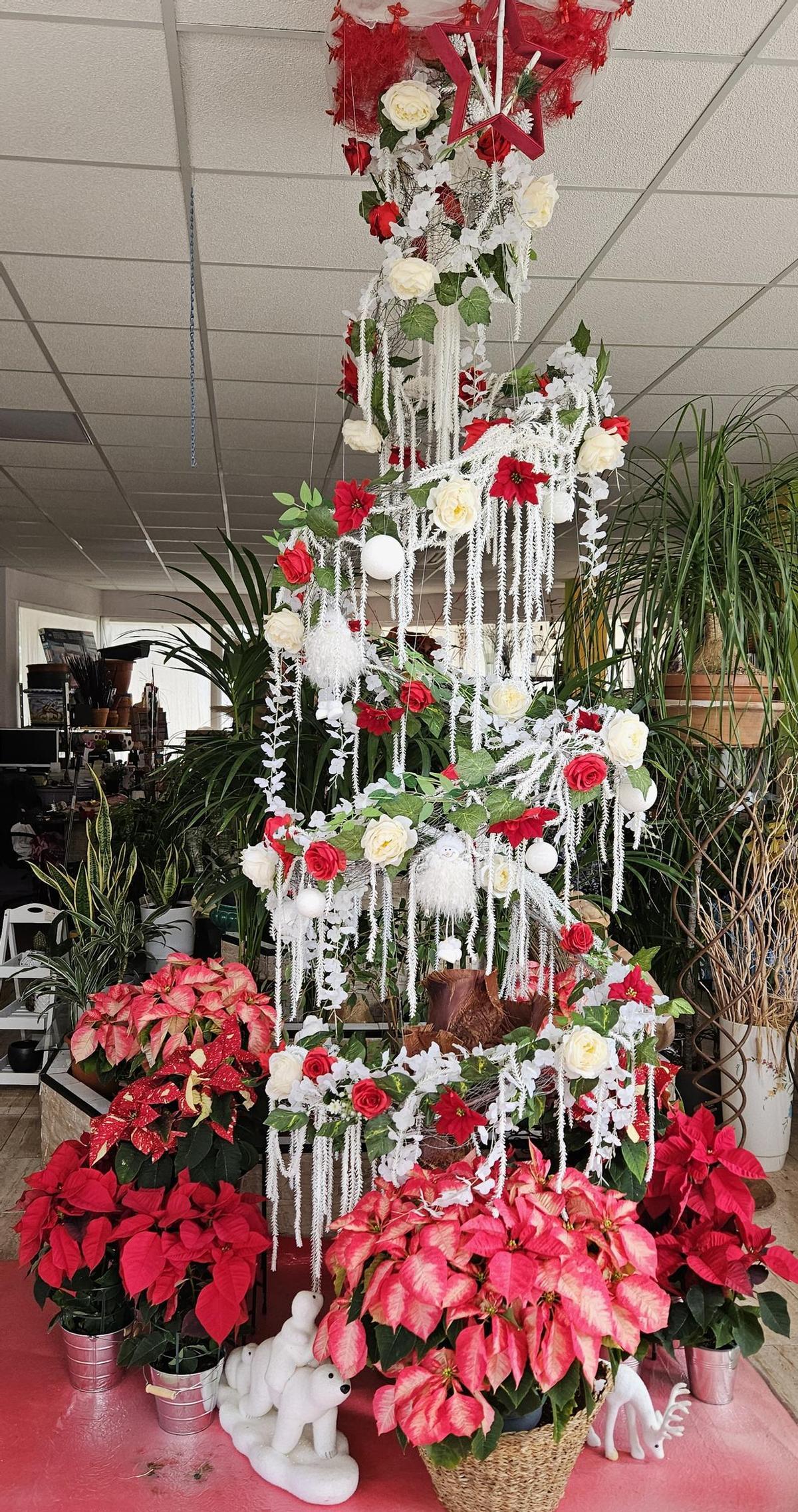 Premios de Escaparatismo Navideño: Floristeria Kentia