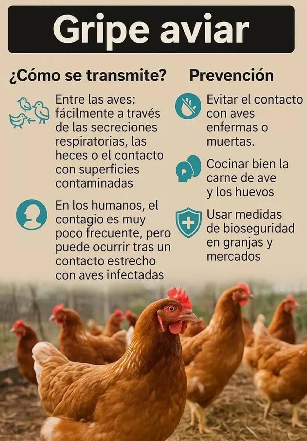 Gripe aviar.