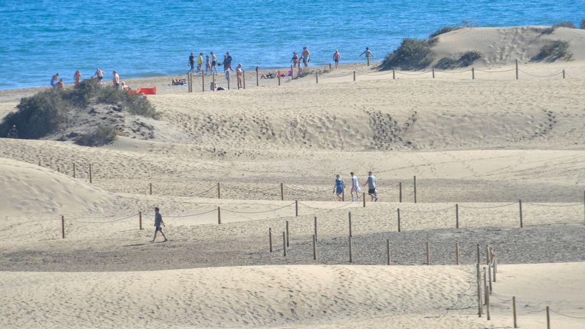 Turistas por los senderos de la Reserva Natural Especial de las Dunas de Maspalomas. | | JUAN CASTRO