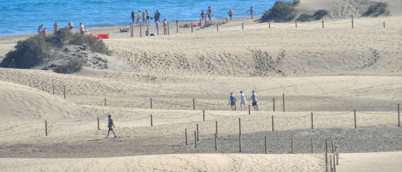 Turistas por los senderos de la Reserva Natural Especial de las Dunas de Maspalomas.