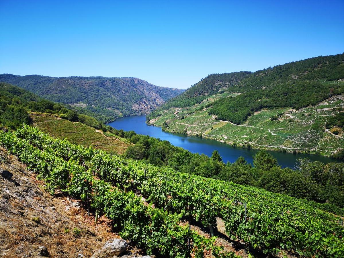 Fiordos gallegos Ribeira Sacra viñedos