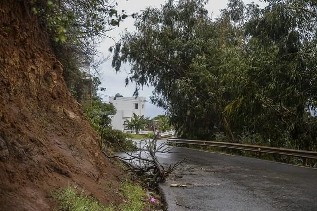 TEMPORAL ZONA NORTE