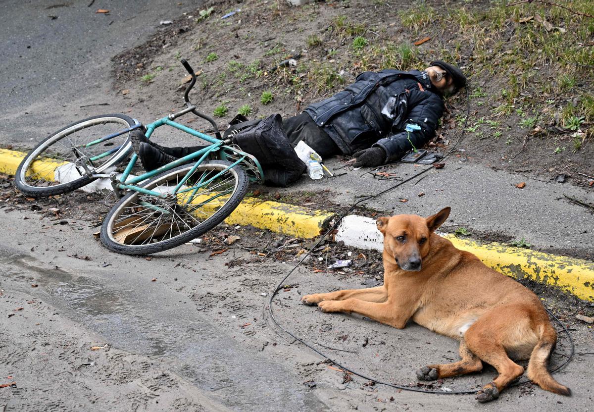 Un perro acompaña el cuerpo sin vida del que posiblemente sea su dueño, en la localidad de Bucha.
