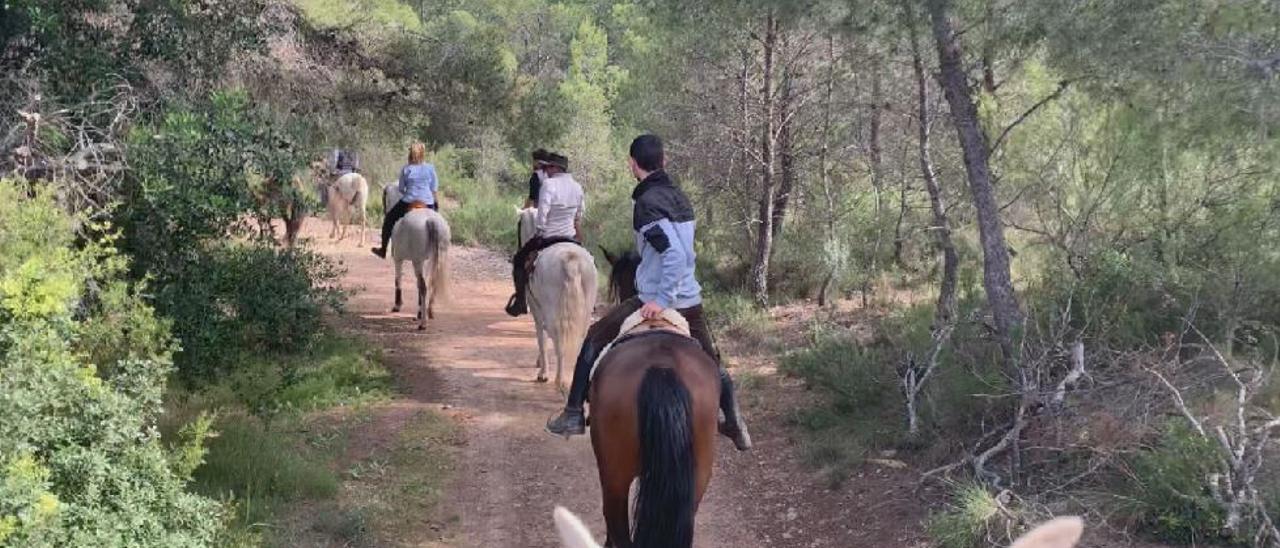 La Calderona a rienda suelta: conocer la sierra en una excursión a caballo