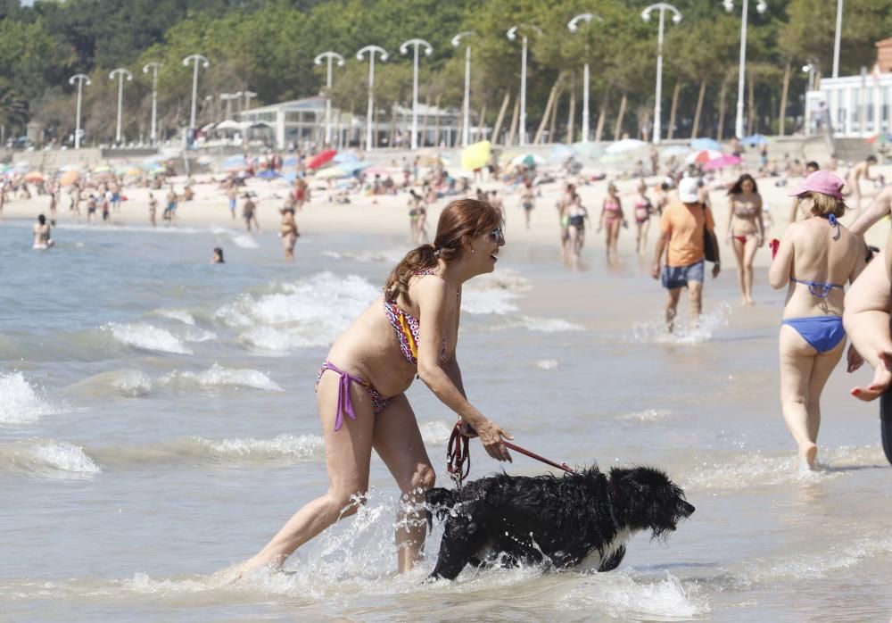 Ola de calor en Galicia