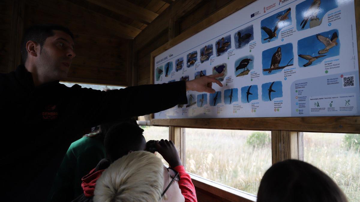 Los estudiantes aprenden sobre las aves de l'Albufera.