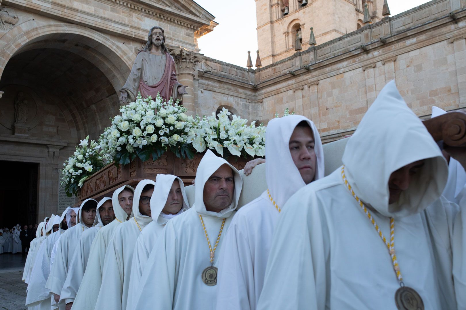 Luz y Vida