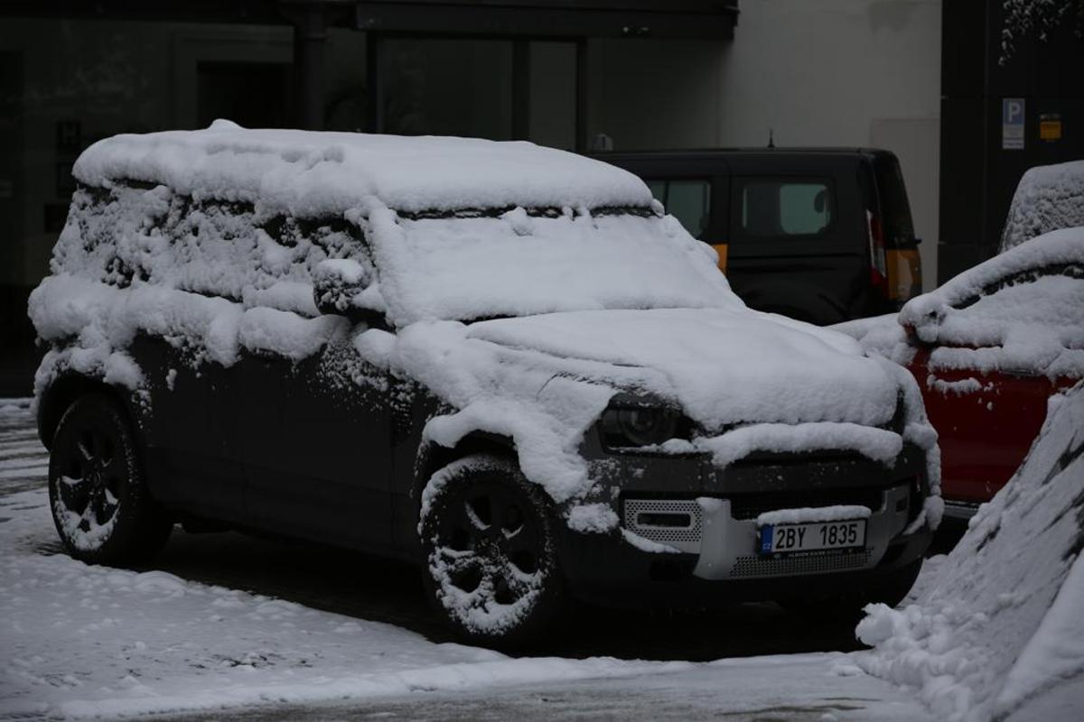 La nieve llega a Barcelona: Collserola, cubierta de blanco