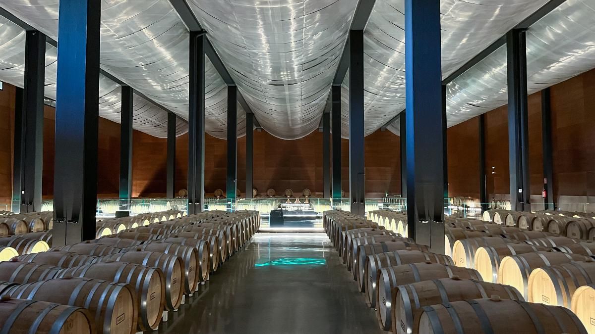 Las bodegas HABLA ofrecen visitas guiadas a sus instalaciones.