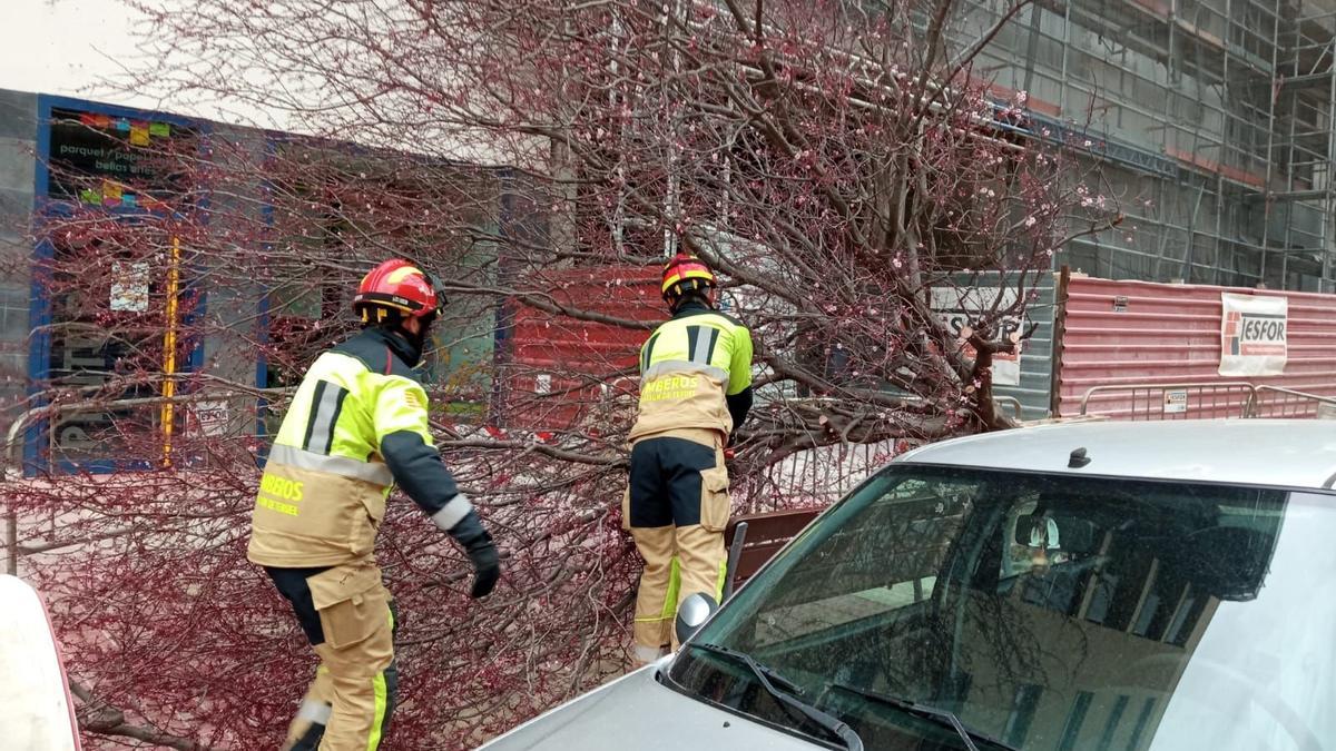 Los bomberos retiran un árbol caído ayer en Teruel.