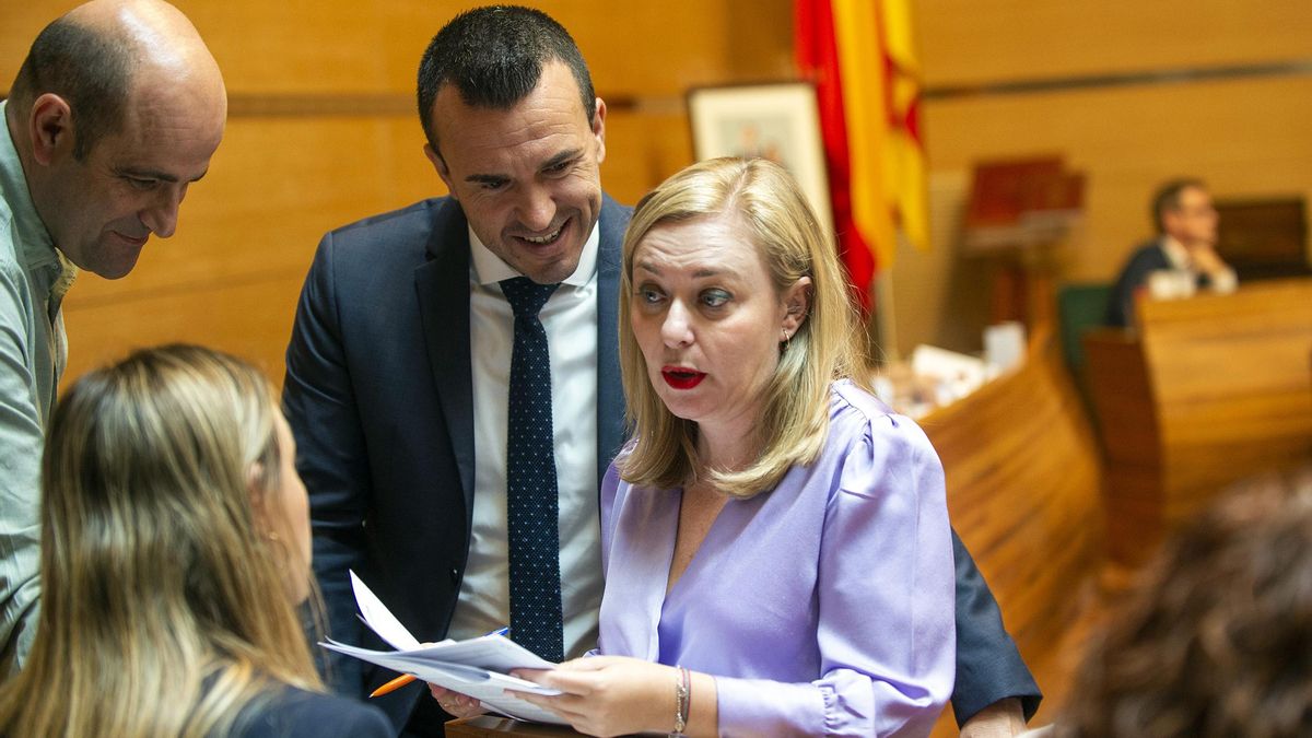 Natàlia Enguix y Vicent Mompó, en uno de los plenos de la diputación provincial