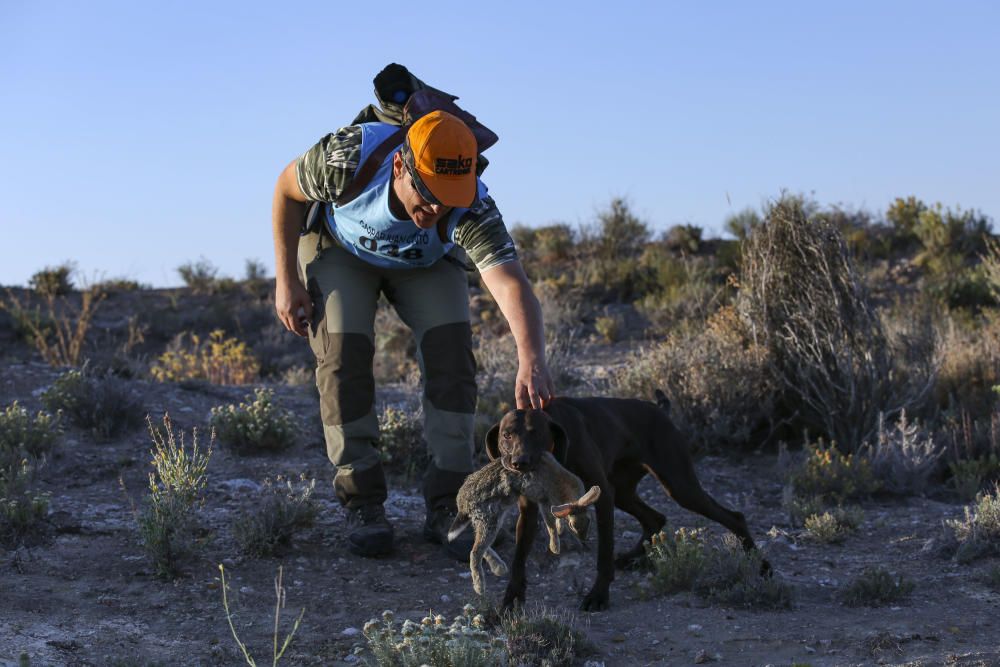 Diez mil cazadores inician la temporada de caza del conejo