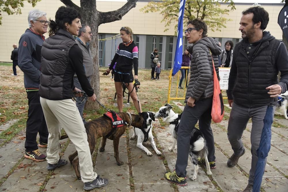 Caminada solidària de Regió7 a Solsona