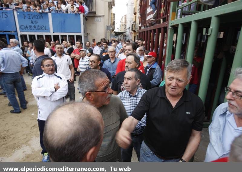 GALERÍA DE FOTOS -- Almassora late con toros bravos pese a la lluvia