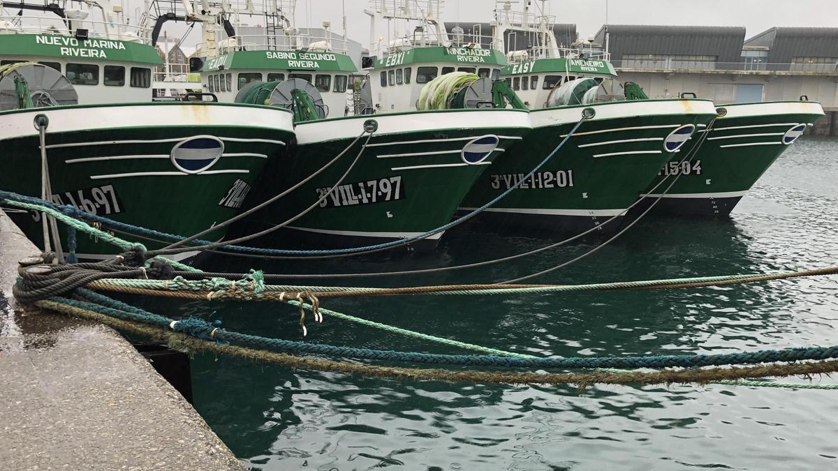 Barcos pesqueros atracados en Ribeira.
