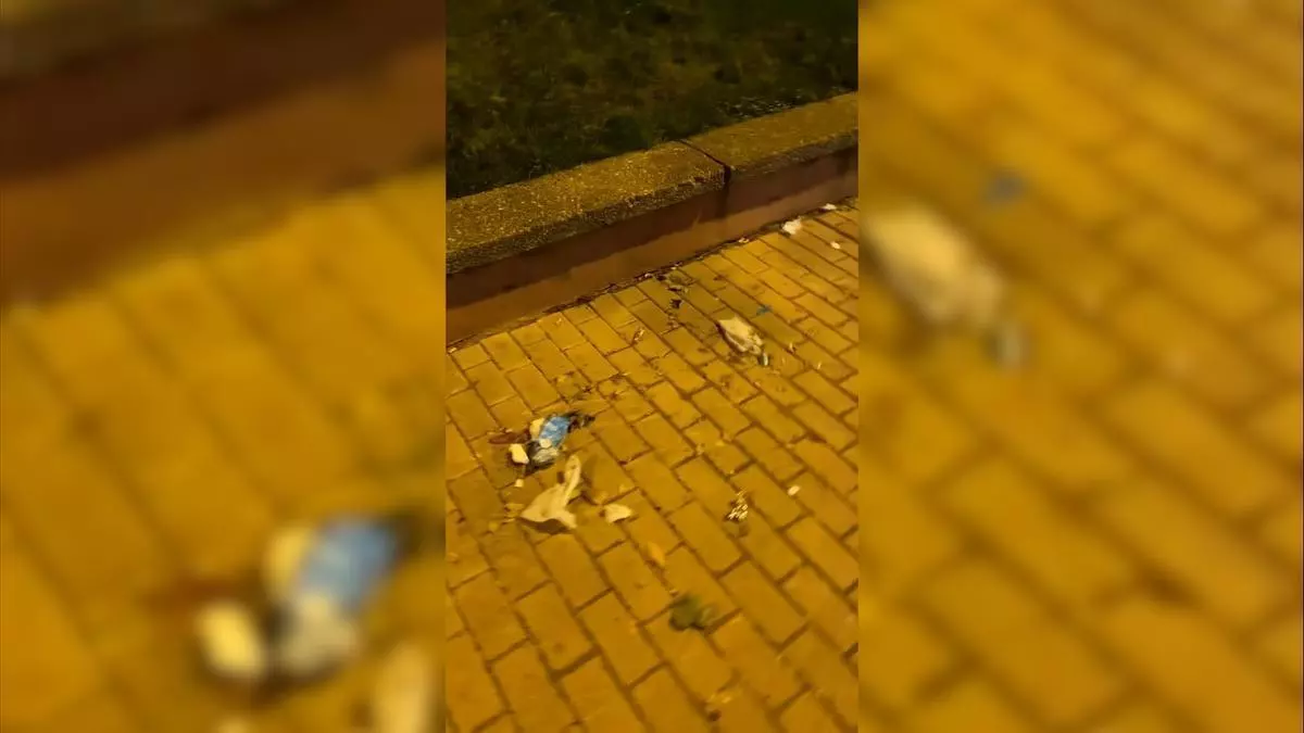 Quejas en este barrio de Zamora por la basura acumulada en la calle: "¿Está de moda ser guarro?"