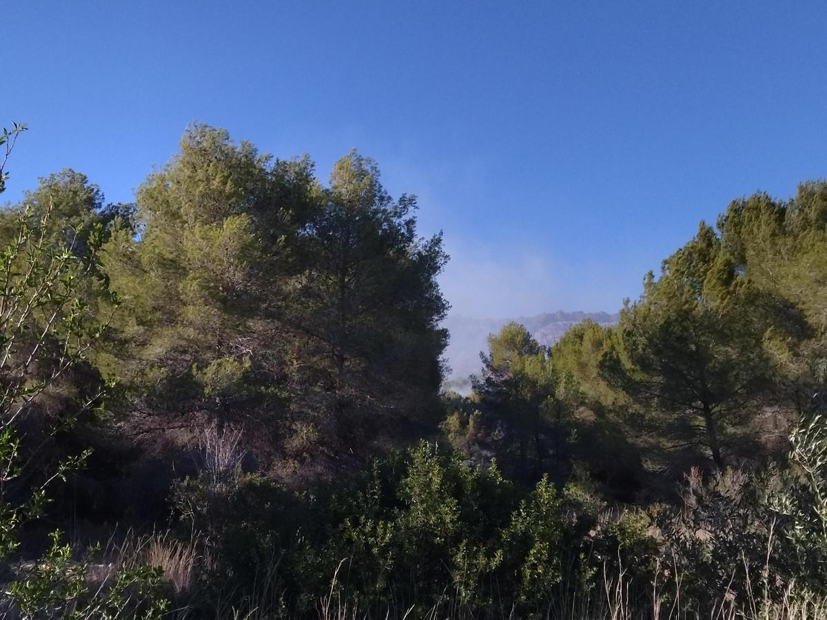 El humo, en la pinada del Camí Vell de la Mar