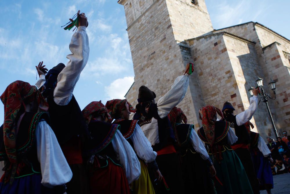 Celebración del Día de la Danza