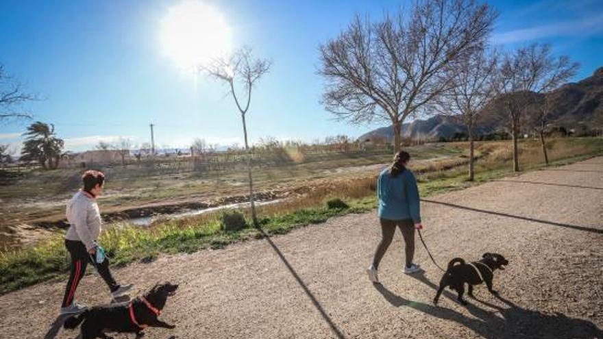 El camino aprovechará los tramos que ya tienen un uso público como la mota del río Segura.