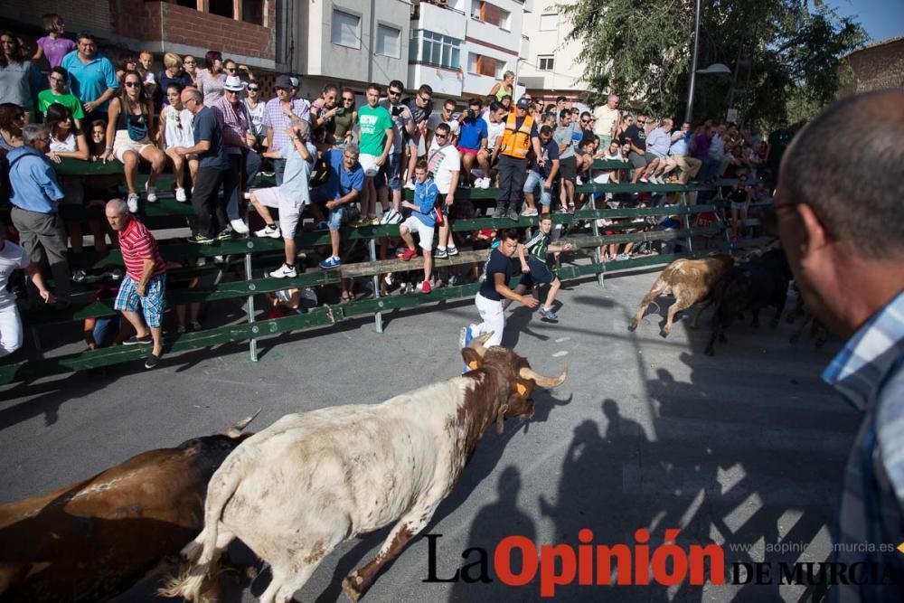 Cuarto encierro de Calasparra