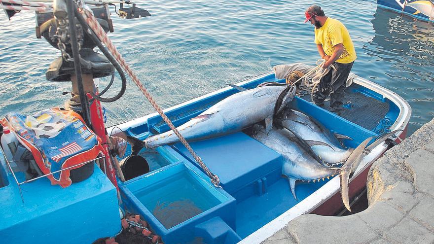 Los pescadores canarios logran que se les permita faenar entre Islas: “Cualquiera con un &#039;titulín&#039; podía hacerlo salvo nosotros”