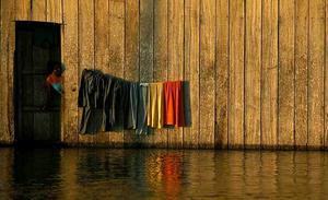 Una dona treu el cap a la porta de casa seva inundada al municipi de Riosucio (Colòmbia).