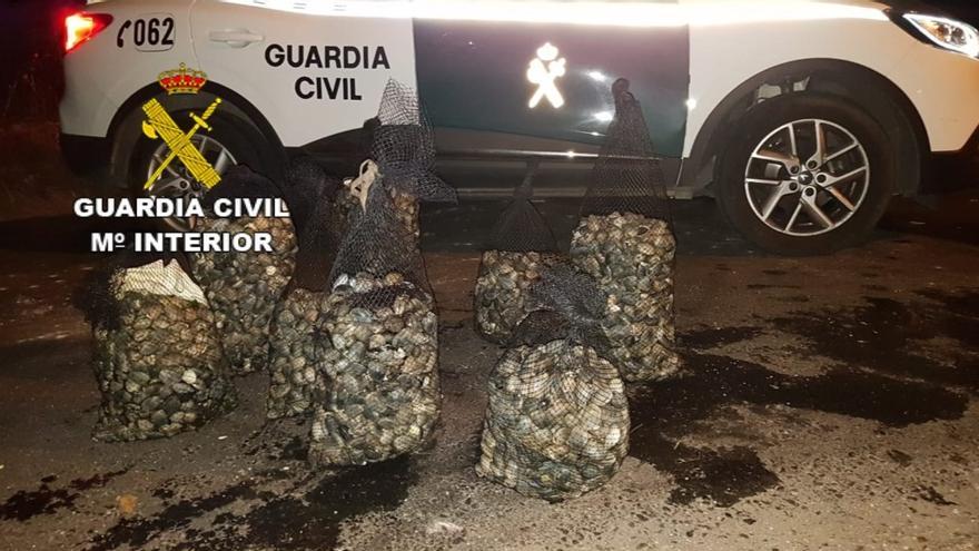 Detenidos tres furtivos &quot;habituales&quot; de almeja en aguas de Redondela, Moaña y Poio: se apoderaron de más de 200 kilos en dos meses