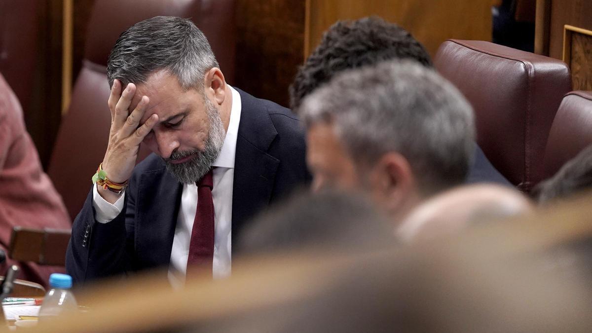 Santiago Abascal, Vox.